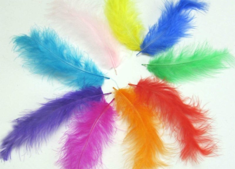 TBUY ROSE 3.5-6 inch 9-15cm Colorful Ostrich Feathers for DIY Dream Catchers Crafts Bulk Feathers Assorted Colors Home Decoration DIY Craft (300 Pack) - Image 2